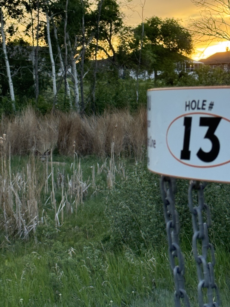 Hole 13 signage at Buffalo Pound Provincial Park glowing at golden hour sunset